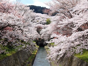 Lake Biwa Canal