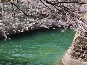 Lake Biwa Canal