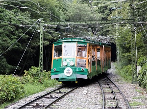 Rokko Cable