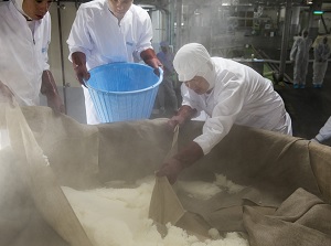 Boiled rice to make sake