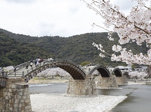 Kintai Bridge in spring