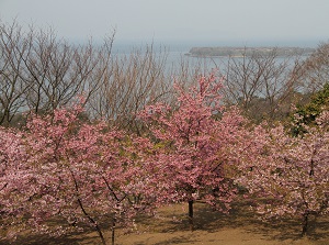Observatory on Kasayama in Hagi