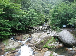 Shiratani-Unsuikyo in Yakushima